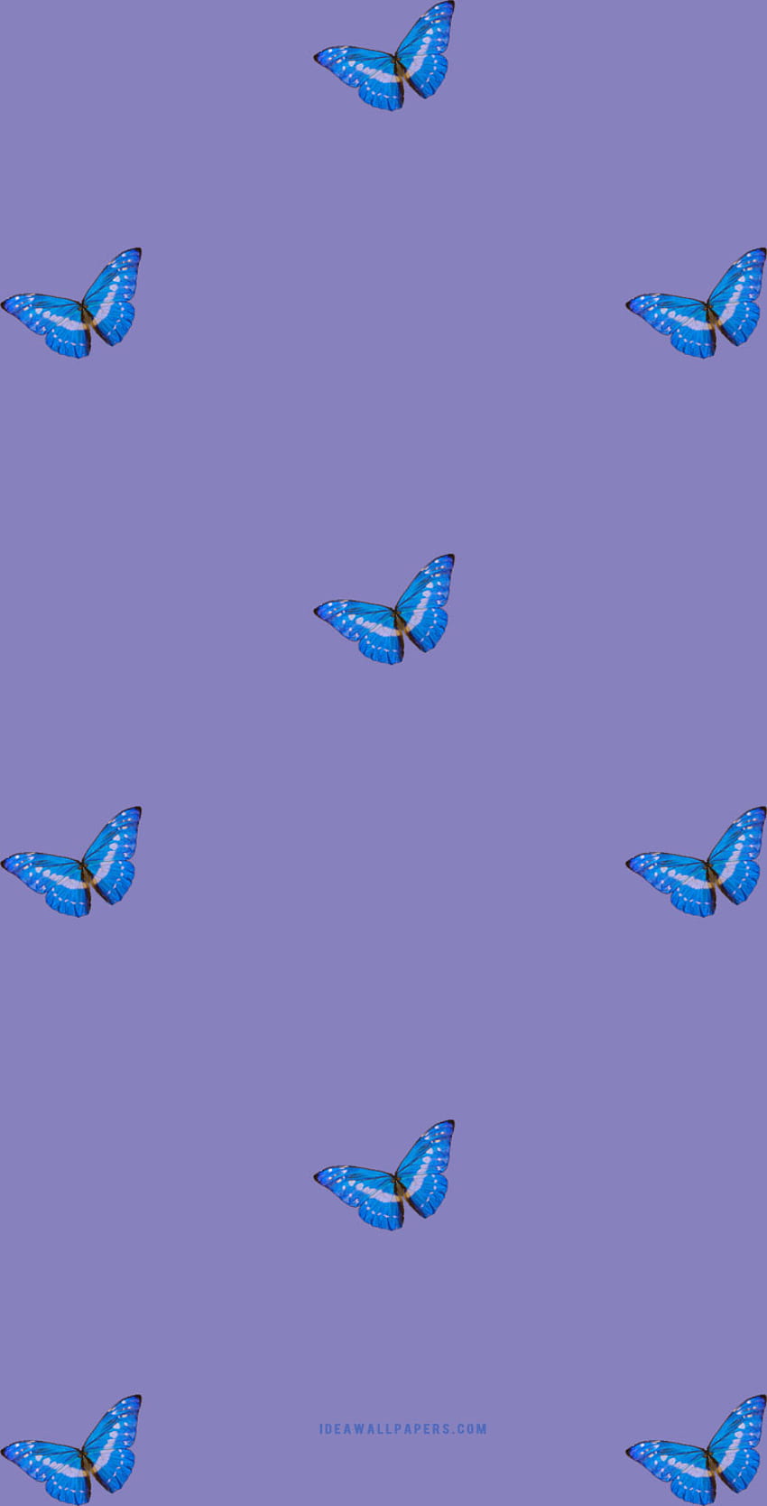 Papillons bleus sur fond violet pour téléphones - Idée, iPhone, Schémas de couleurs, Papillon bleu foncé Fond d'écran de téléphone HD