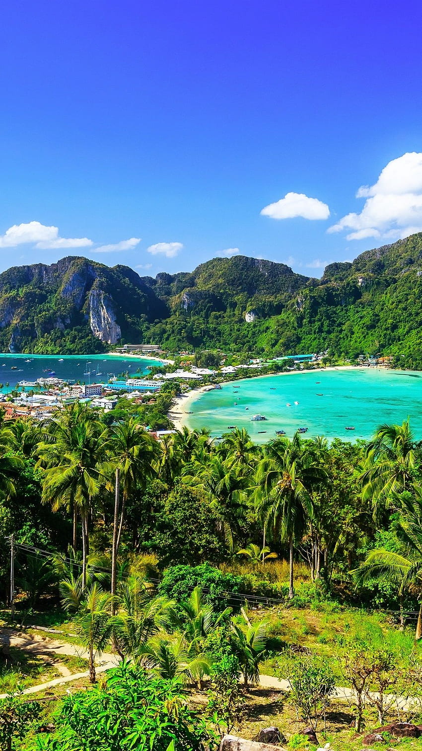 Thailand, Krabi, pulau, pohon palem, laut, resor iPhone wallpaper ponsel HD