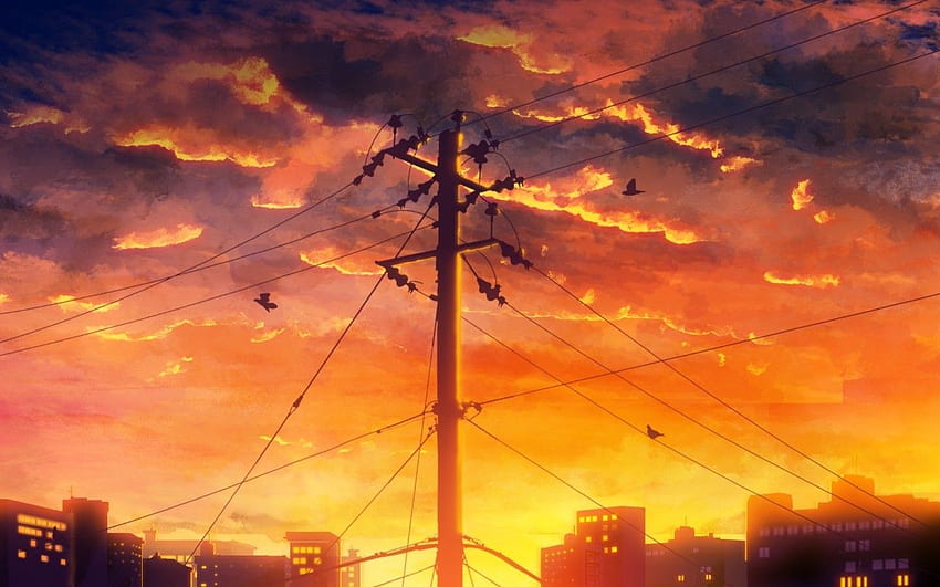 Anime Sunset, Landscape, Birds, Clouds HD wallpaper