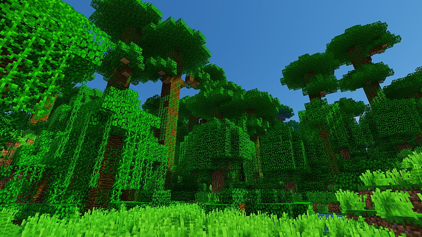 zapas , gra, dżungla, Minecraft Jungle Tapeta HD