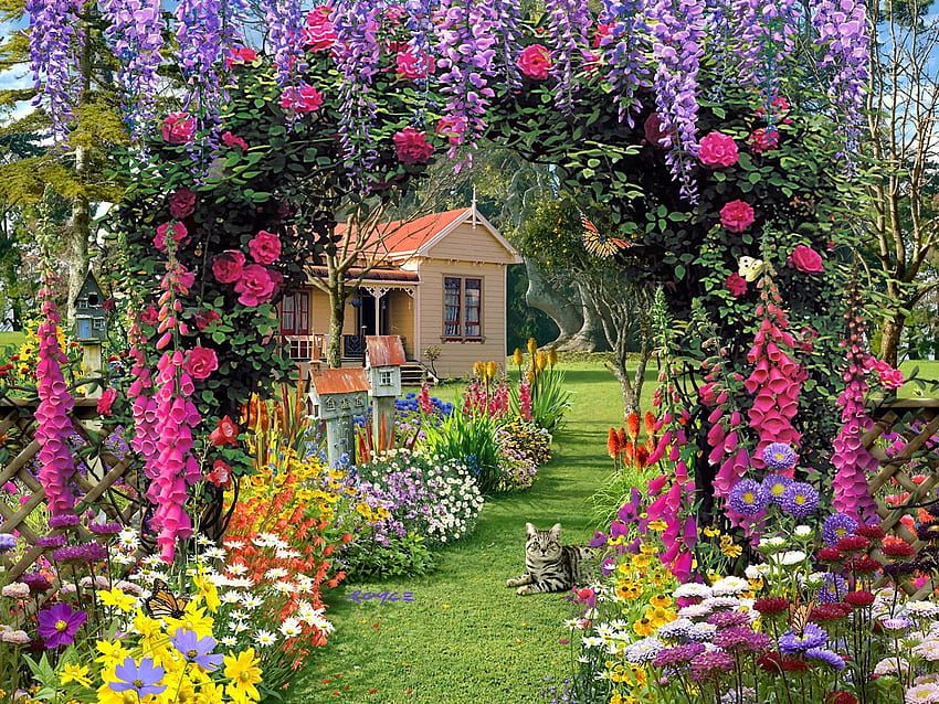Sommergarten-Blume für, schönen Garten HD-Hintergrundbild