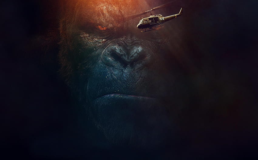 Angry Gorilla , Background. t HD wallpaper