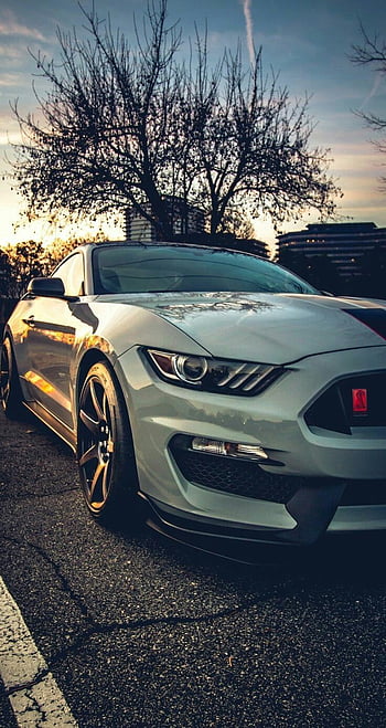 Mustang carros HD wallpapers | Pxfuel