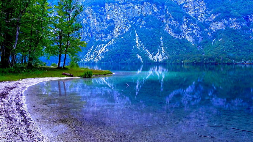glassy mountain lake, spiaggia, riflessione, alberi, lago, montagna Sfondo HD