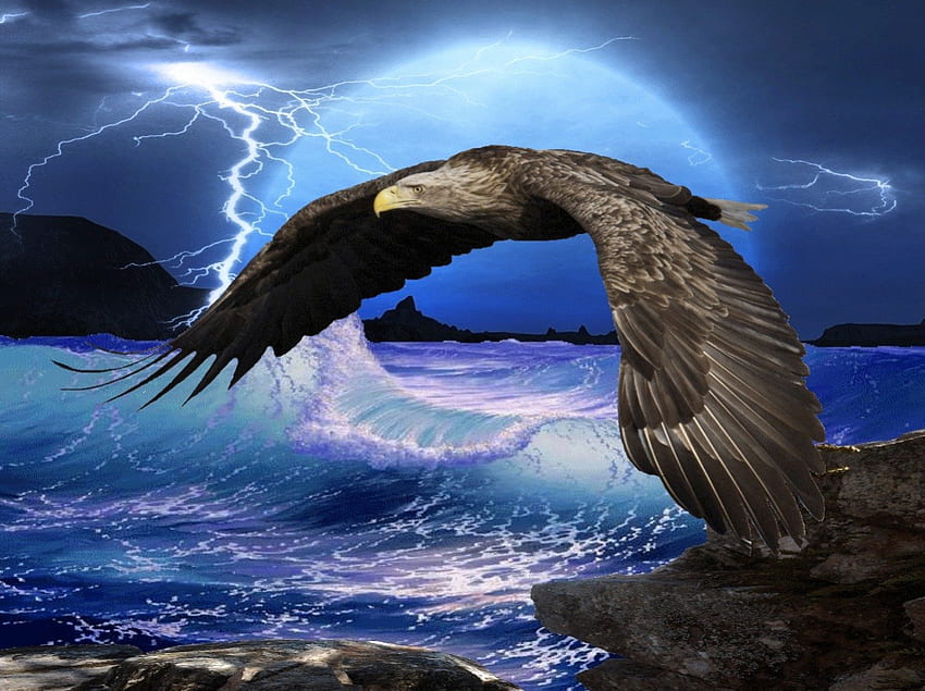 sztuka orła, amerykański, orzeł, ptak, odważny orzeł, latający Tapeta HD