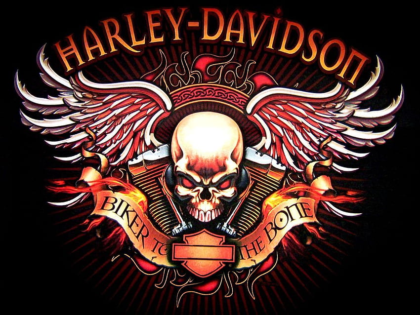 would make a cool tattoo without the harley davidson at the top, Outlaw Biker Skull HD wallpaper