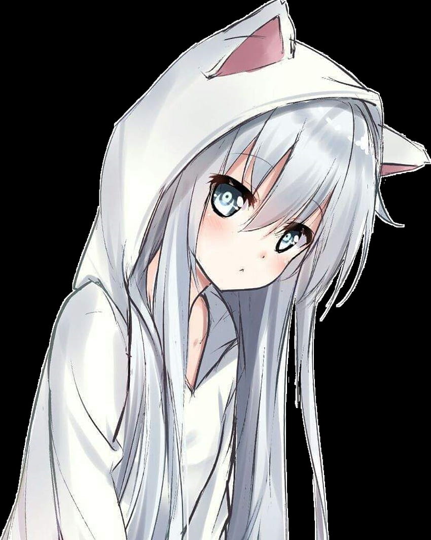 Hoodie Girl anime girl cat hoodie HD phone wallpaper  Pxfuel