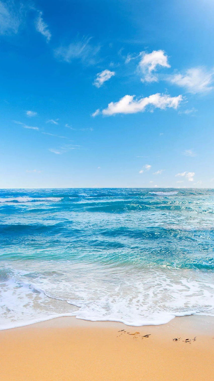 phone beach handy Phone Scenic See the Sea Beach Ocean Wallpape in 2020. Beach phone , Beach , iPhone ocean HD-Handy-Hintergrundbild
