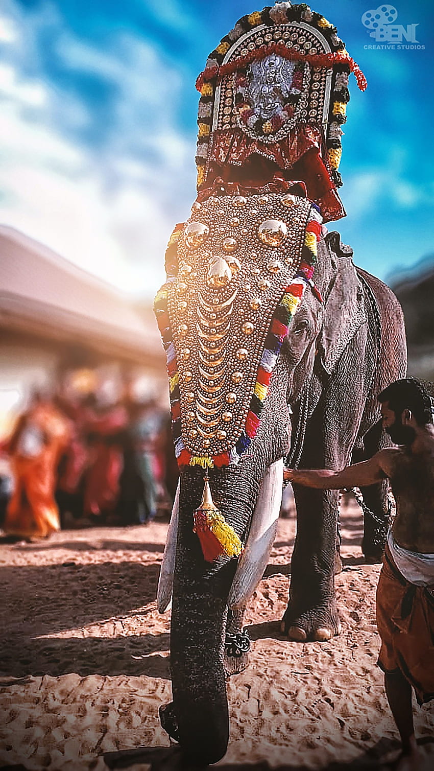 Elefante del Kerala Sfondo del telefono HD