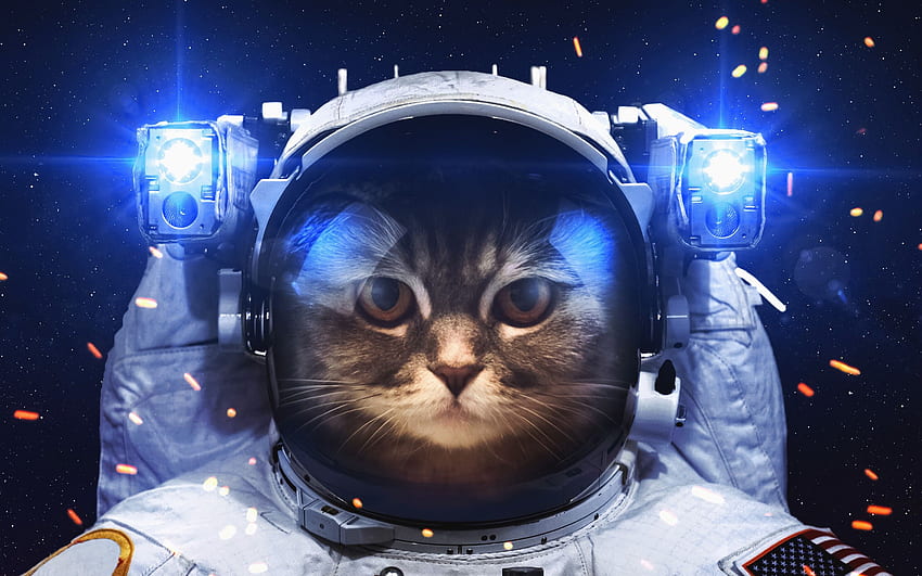 Astronaut Cat Macbook Pro Retina, Cool Space Cat HD wallpaper