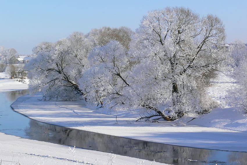 Winter, Nature, Rivers, Trees, Sky, Frost, Hoarfrost, Gray Hair, Shadows HD wallpaper