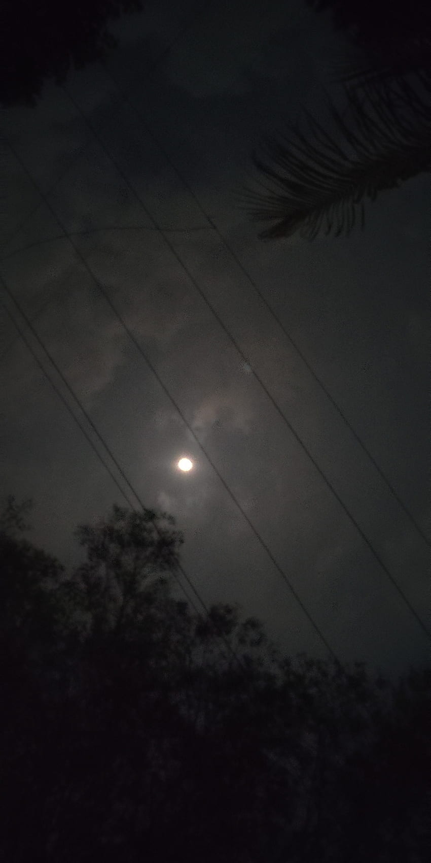 AA02 บรรยากาศ ความรัก ท้องฟ้า blacknwhite พระจันทร์ กลางคืน ดำ ทิวทัศน์ยามค่ำคืน วอลล์เปเปอร์โทรศัพท์ HD
