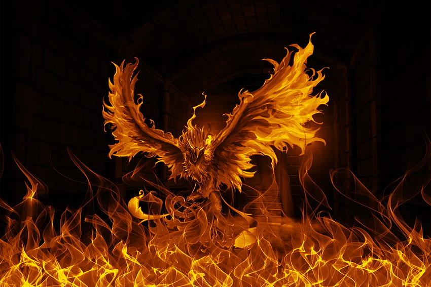 Phoenix Raising, Flames, Art, Fire, Phoenix, Fantasy HD wallpaper