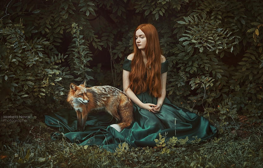 Waiting ( Curious fox ), marketa novak, vulpe, girl, forest, fox, woman ...