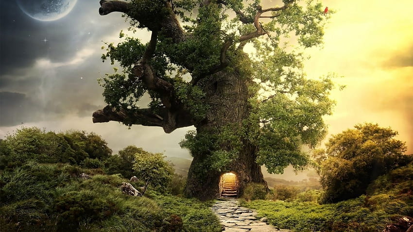 Anntwanette Browne on Fantasy Land. Fantasy tree, Fantasy house, Beautiful tree houses, Fairy Tree House HD wallpaper