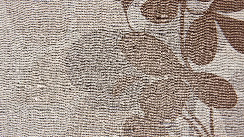 Tekstur Dinding Lukis Abstrak Cokelat Putih - Tekstur Interior Cat Dinding, Coklat dan Putih Wallpaper HD