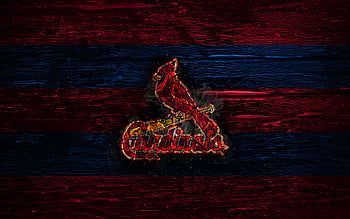 St. Louis Cardinals Baseball Team Logo Editorial Photography - Image of  baseball, background: 105159757