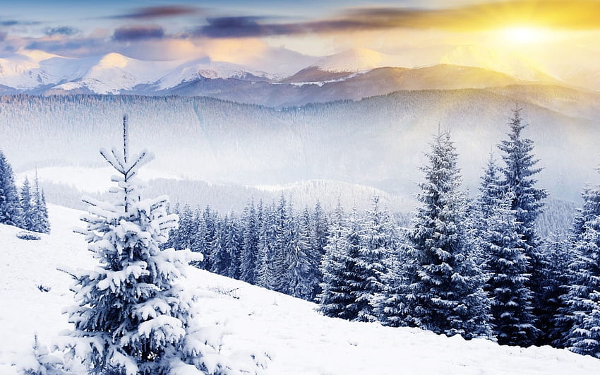 Winter Scenery, Winter Landscape HD wallpaper | Pxfuel