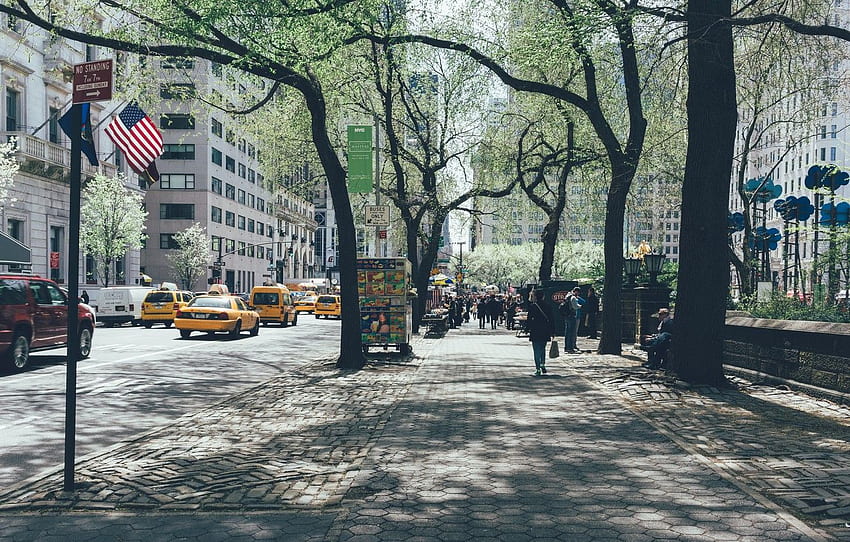 สหรัฐอเมริกา สหรัฐอเมริกา ต้นไม้ นิวยอร์ก แมนฮัตตัน NYC เมืองนิวยอร์ก ถนน ผู้คน เซ็นทรัลปาร์ค ธง ธง อาคาร อเมริกา ทางเท้าสำหรับ ส่วน город วอลล์เปเปอร์ HD
