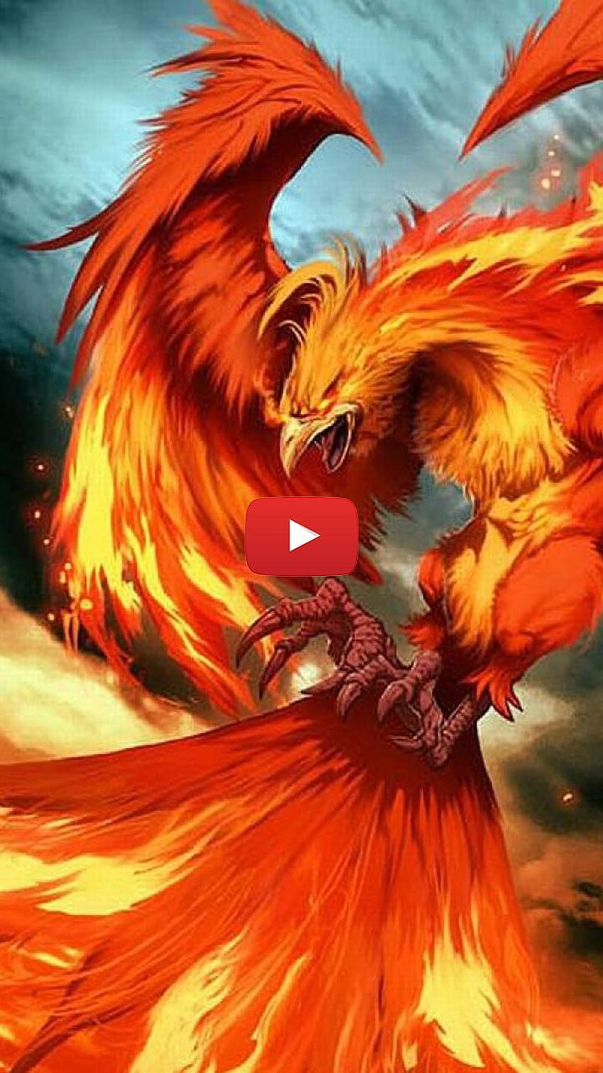 rysunek feniksa. mityczne stworzenia feniksa. ogień feniksa. Phoenix, na żywo, rysunek Phoenix, piękny Phoenix Tapeta na telefon HD