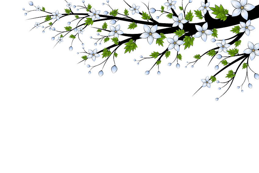 With Sympathy Background. Sympathy, Funeral Flowers HD wallpaper