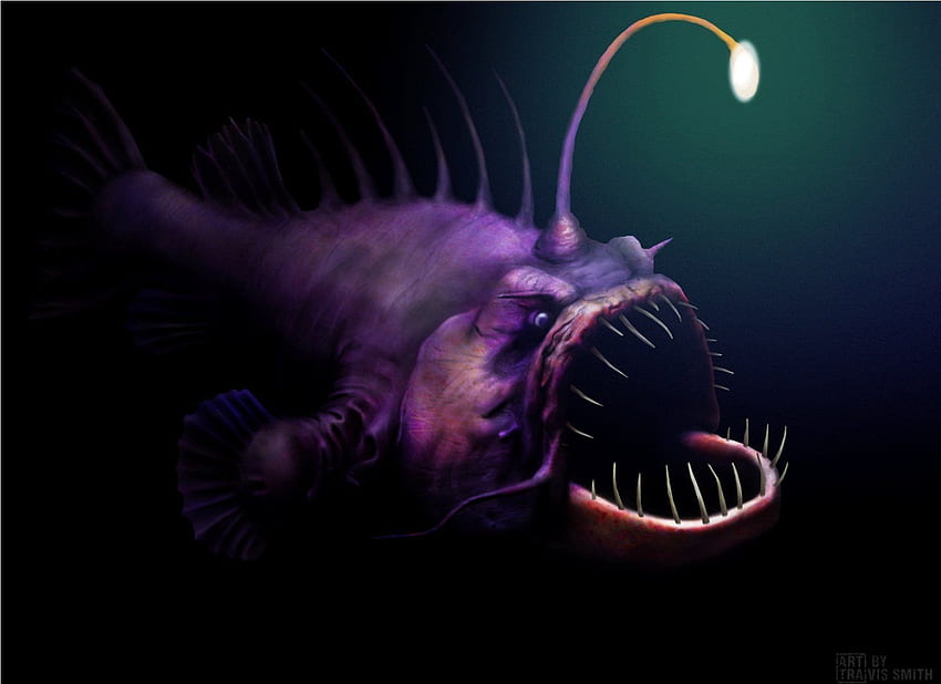 anglerfish, Fish, Ocean, Sea, Underwater, Dark, Creepy, Monster, Fangs / and Mobile Background, Scary Fish HD wallpaper