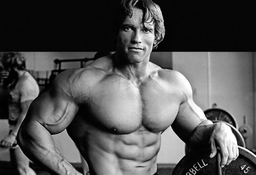 Arnold Schwarzenegger Hohe Auflösung und Qualität HD-Hintergrundbild