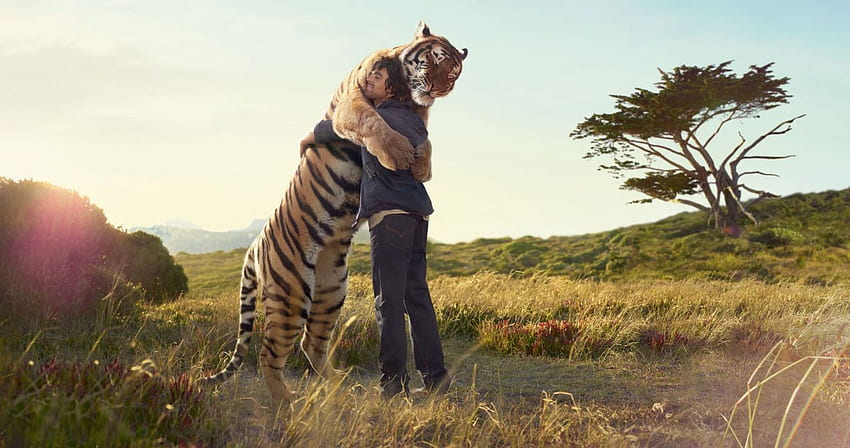 Harimau manusia peluk rapat Cetak teman lapangan pohon . . 497504 Wallpaper HD