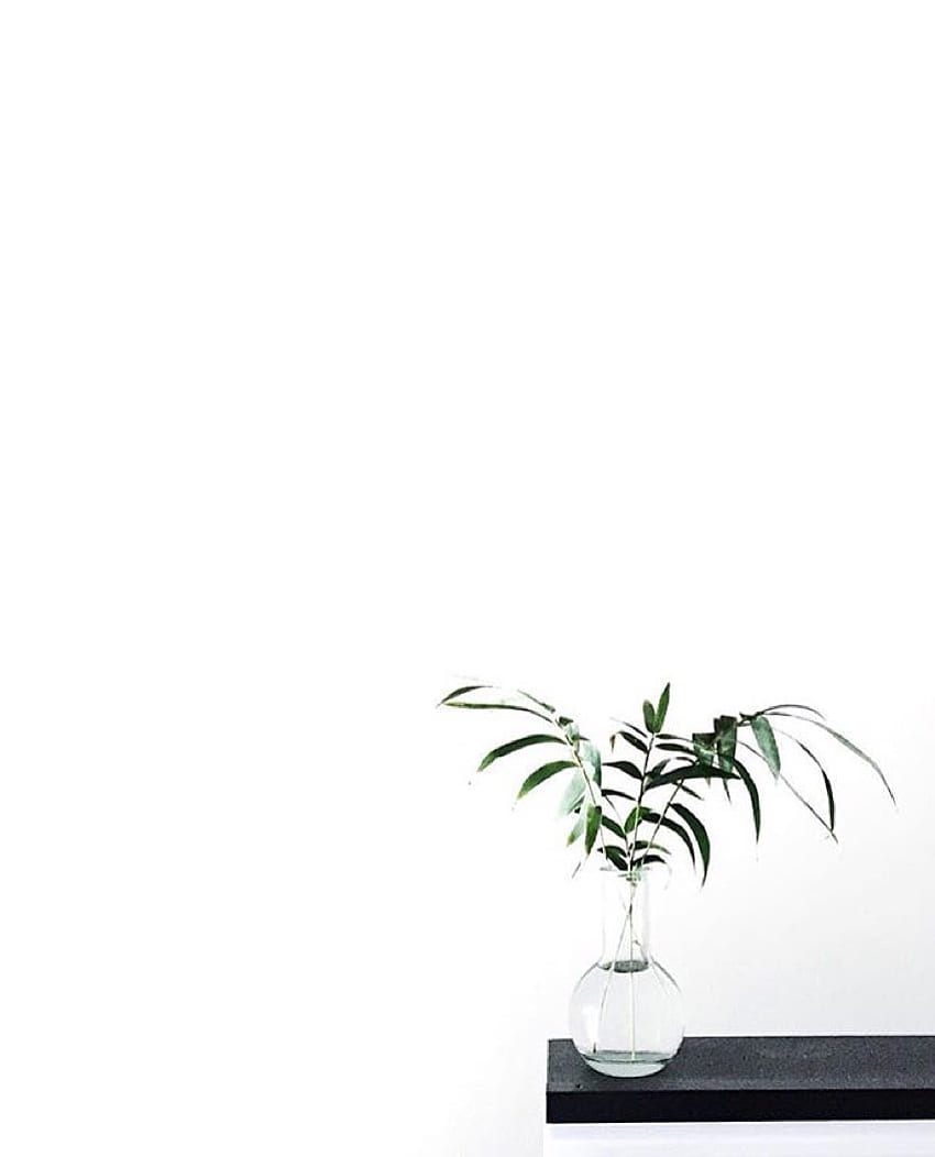 Minimalist Aesthetic, Minimalist Plant Drawing HD phone wallpaper