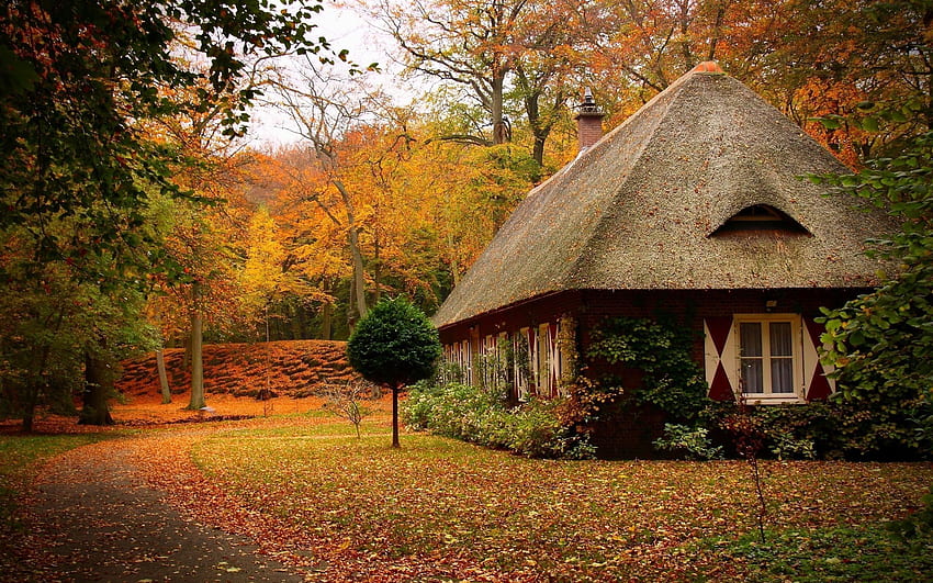 가을, 공원, 길, 잎, 작은 집, 나무, 숲, 잎, 하늘, 자연. 숲속 오두막, 숲속의 집, 숲속의 집, 아늑한 자연 HD 월페이퍼