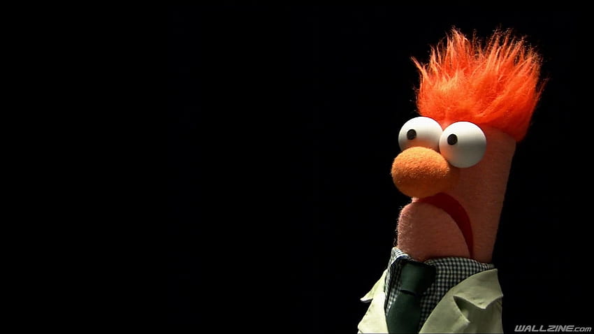 Komisch erschrocken. Die Muppet-Show, lustige, lustige Muppets HD-Hintergrundbild