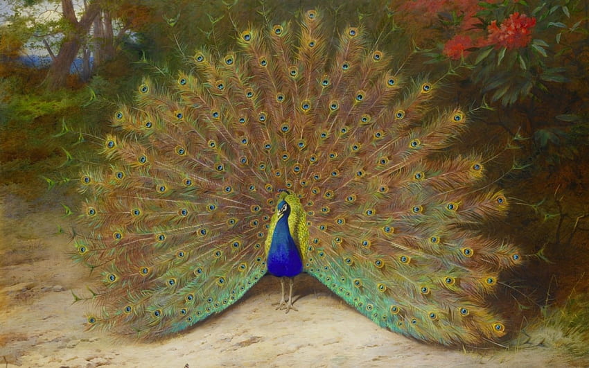 Peacock, blue, painting, bird, art, pictura, yellow, green HD wallpaper