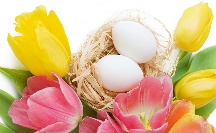 Великден, честит Великден, листенца, великденски яйца, цветя, лалета HD тапет