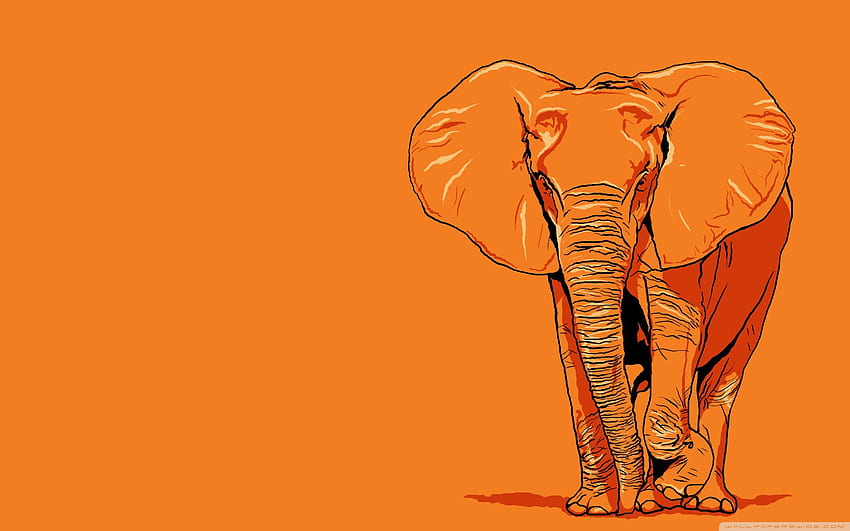 Art d'éléphant, iPad d'éléphant Fond d'écran HD