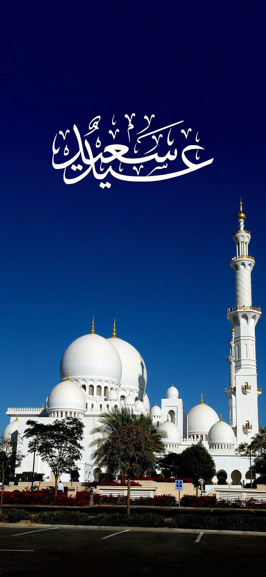 Sheikh Zayed Grand Mosque Center Islamic, Mosques HD phone wallpaper