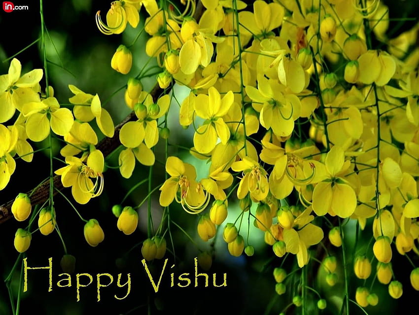 Very Beautiful Vishu Greeting And HD wallpaper