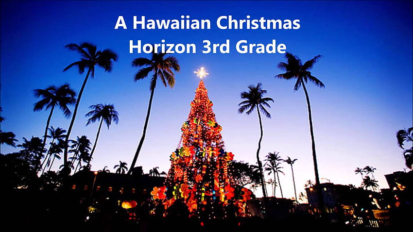 A Hawaiian Christmas Horizon 3rd Grade HD wallpaper