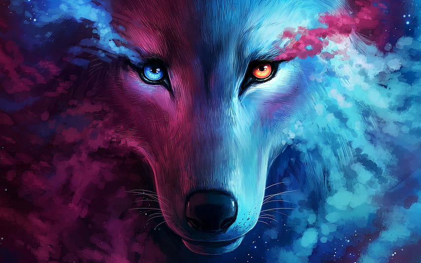 The Galaxy Wolf Resolution , , Background, and, Cool Red Wolf HD wallpaper