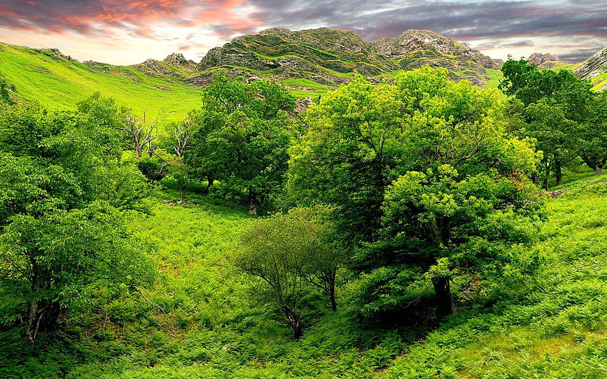 paisagem, natureza, árvores, grama, céu, montanhas, verão, relevo, brilhantemente, planície papel de parede HD