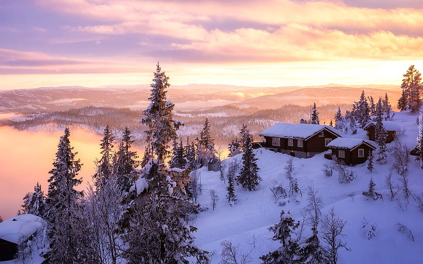 Zima w Norwegii, domki, świerki, zima, Norwegia Tapeta HD
