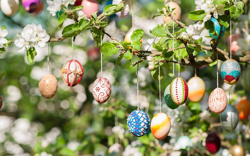 Ovos de páscoa em um galho, primavera, feliz páscoa, ovos pintados, ovos de páscoa, árvores de primavera papel de parede HD