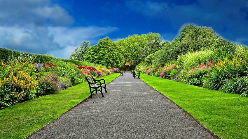 Hermoso Jardín Parque con Natural fondo de pantalla
