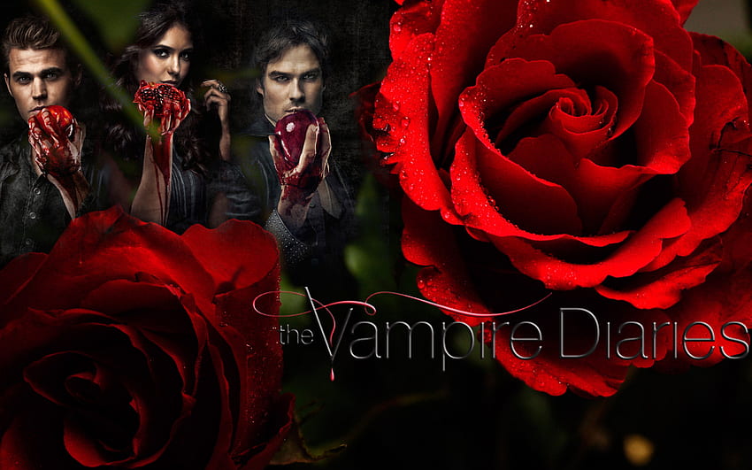 Vampire Diaries  Movie Night by sasukee23loveeer on DeviantArt