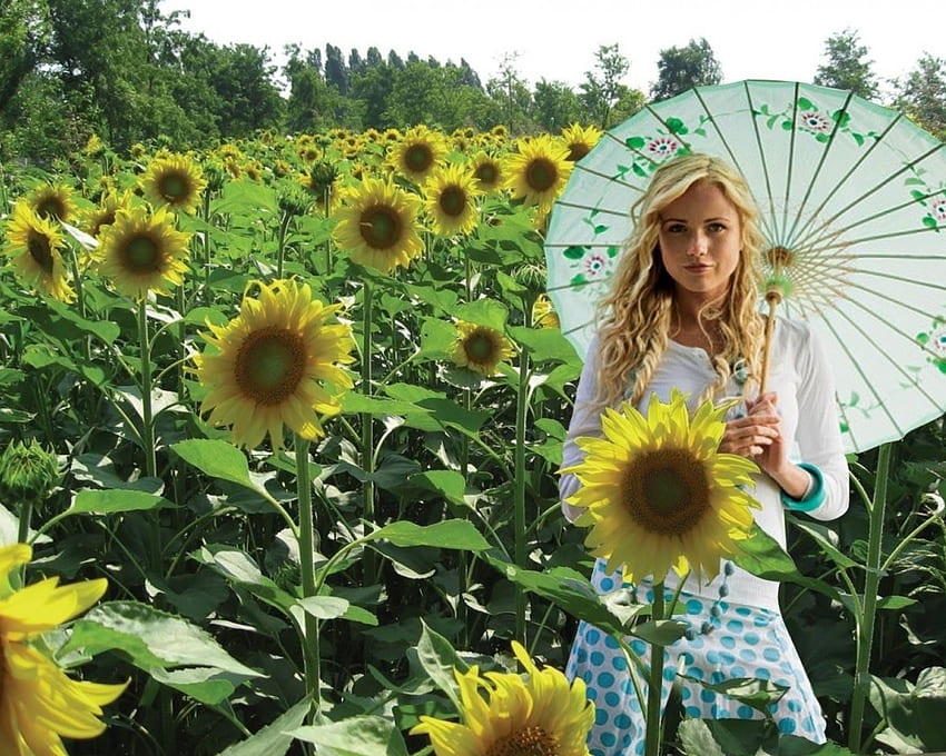 *Sunflower Lady*, umbrella, blonde, spring, dress, sunflower, beauty, day, sunflowers, happy, happiness, female, parasol, feminine, beautiful, woman, field, yellow, nature, flowers HD wallpaper