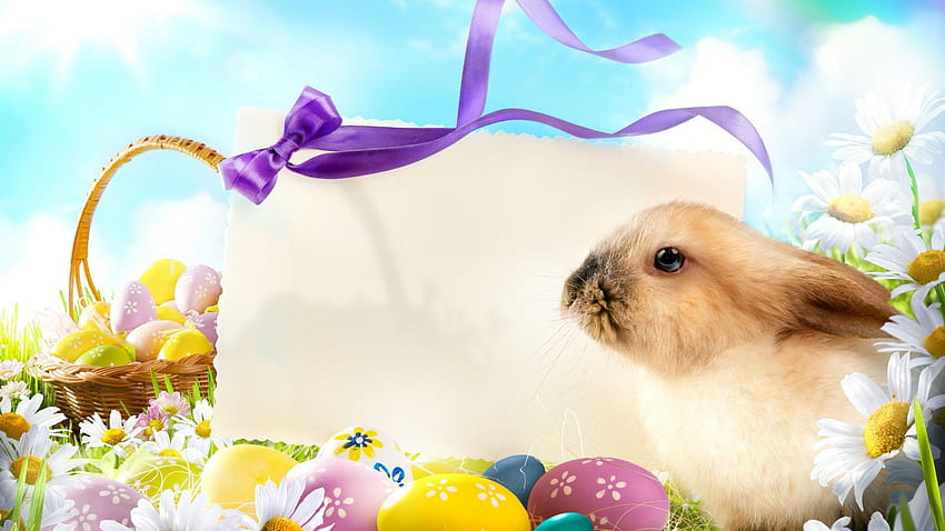 Flower: Easter Greetings Flowers Card Eggs Cute Bunny Meadow Spring, 3D Bunny HD wallpaper