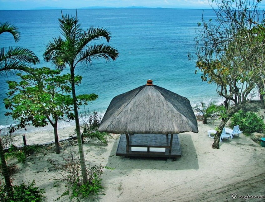Tropical Hut, island, holdiay, hut, paradise, palm trees, ocean, beach HD wallpaper