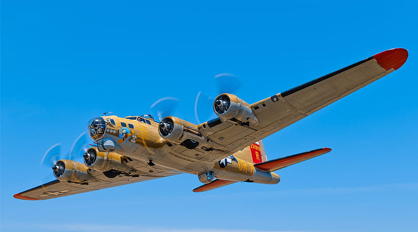 Flying Fortress, military, graphy, history, bomber, flight, plane, sky, war HD wallpaper