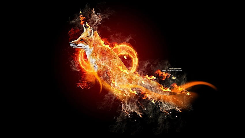 Fire Animal - , Fire Animal Background on Bat, Flaming Fox HD wallpaper
