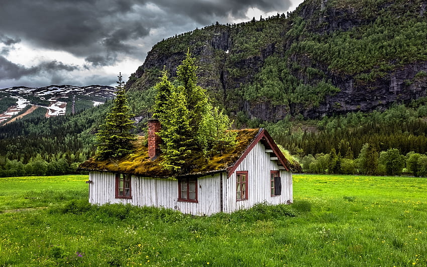 abandoned, snow, trees, grass, mountains, hill, norway HD wallpaper