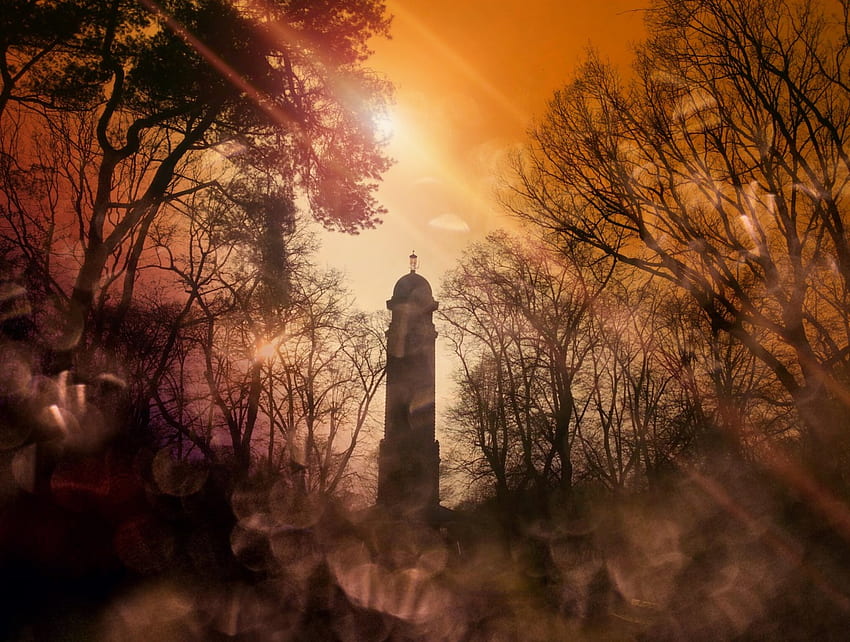 igła, mgła, słońce, wieża, drzewo Tapeta HD